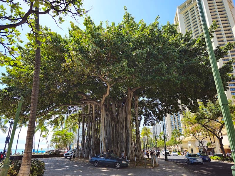 Ala Moana Bowls