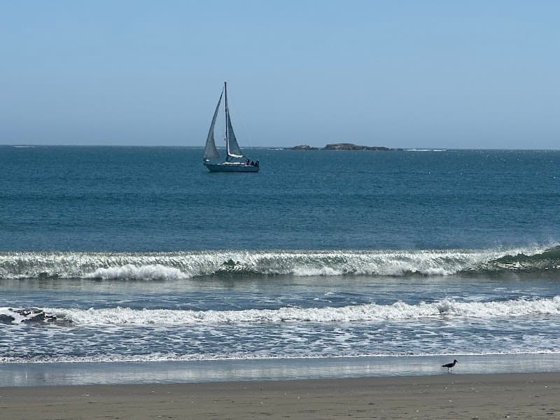 Bodega Bay / Doran Beach